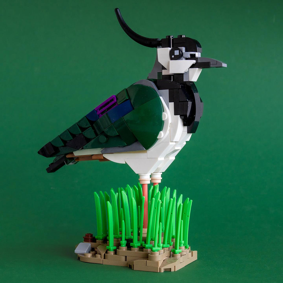 MOC-242376 Northern Lapwing Building Blocks