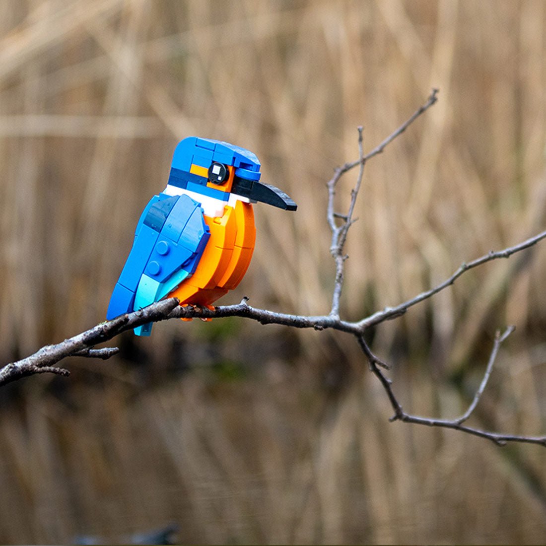 MOC - 173337 Kingfisher Building Blocks - LesDiy - Building Blocks