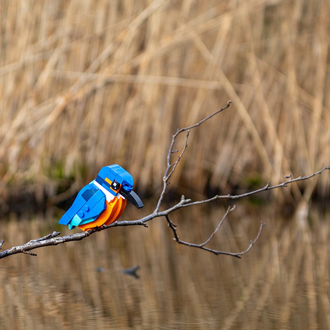 MOC - 173337 Kingfisher Building Blocks - LesDiy - Building Blocks