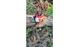 MOC-190893 Italian Sparrow Building Blocks