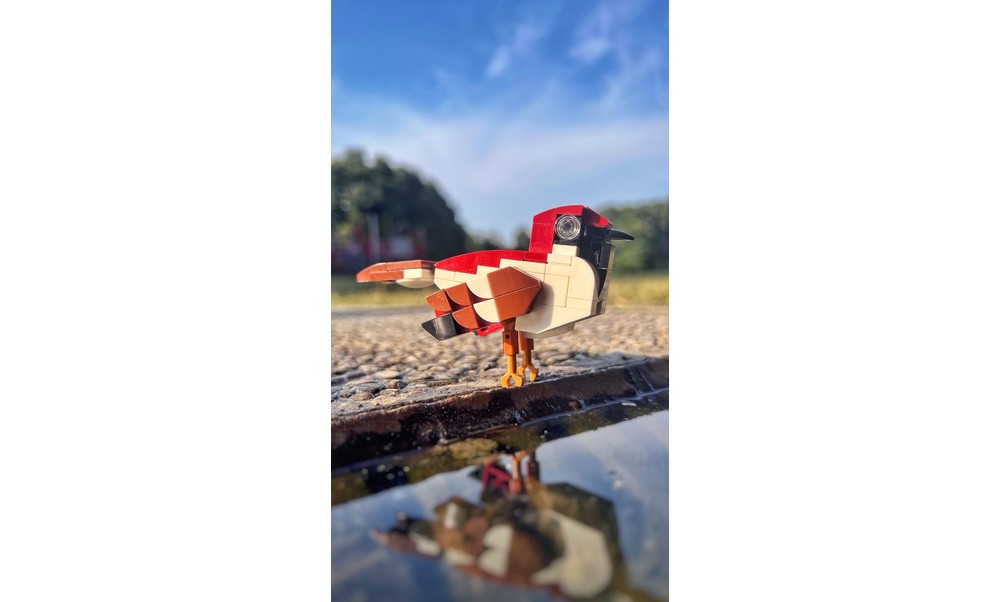 MOC-190893 Italian Sparrow Building Blocks