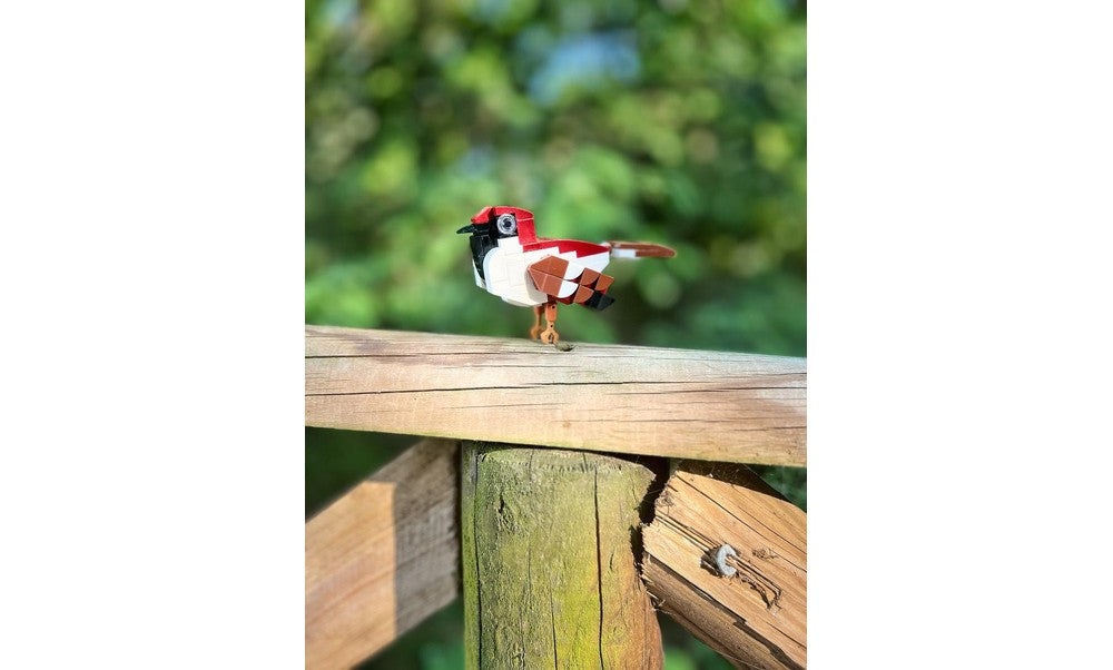 MOC-190893 Italian Sparrow Building Blocks