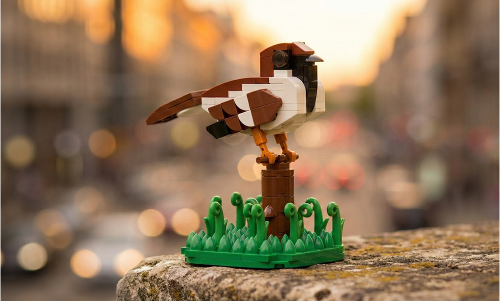 MOC-190893 Italian Sparrow Building Blocks