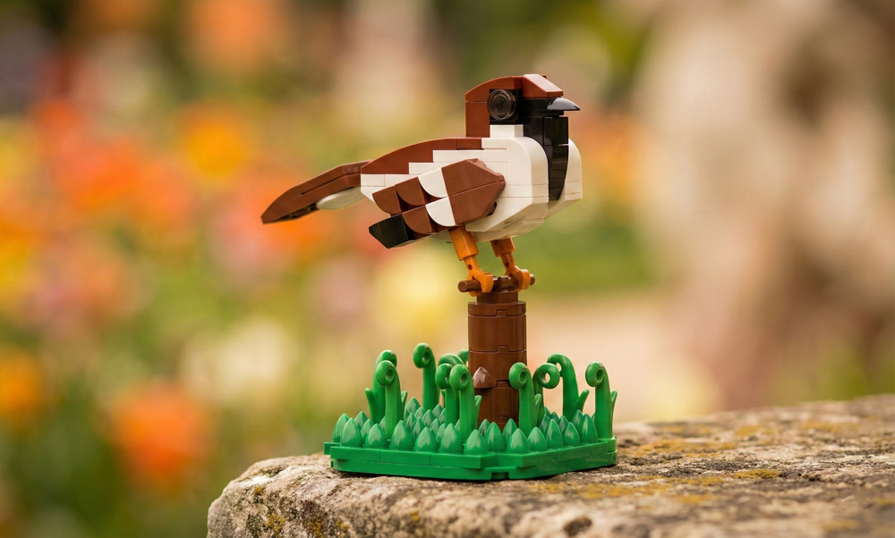 MOC-190893 Italian Sparrow Building Blocks