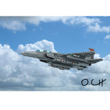 MOC-210105 F-15D Eagle Building Blocks