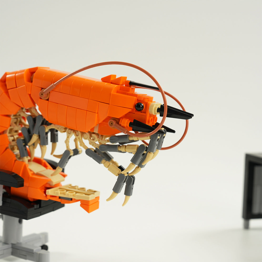 Working Shrimp Man Plus Building Blocks