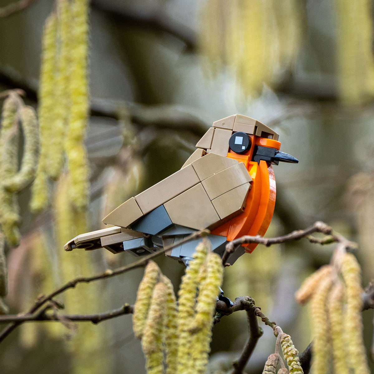 MOC-174485 Robin Bird Building Blocks