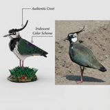 MOC-242376 Northern Lapwing Building Blocks