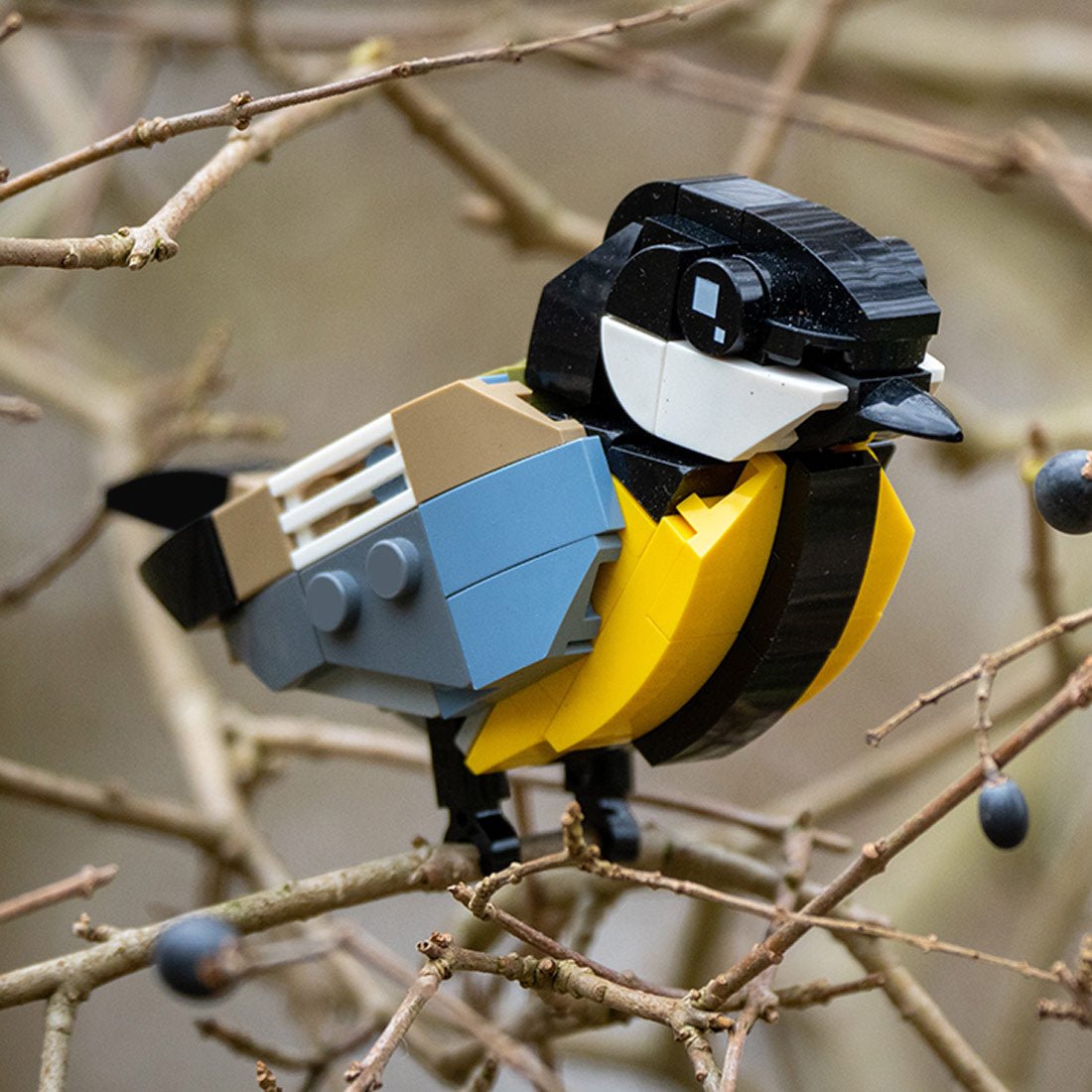 MOC-175635 Great tit Building Blocks | LesDiy